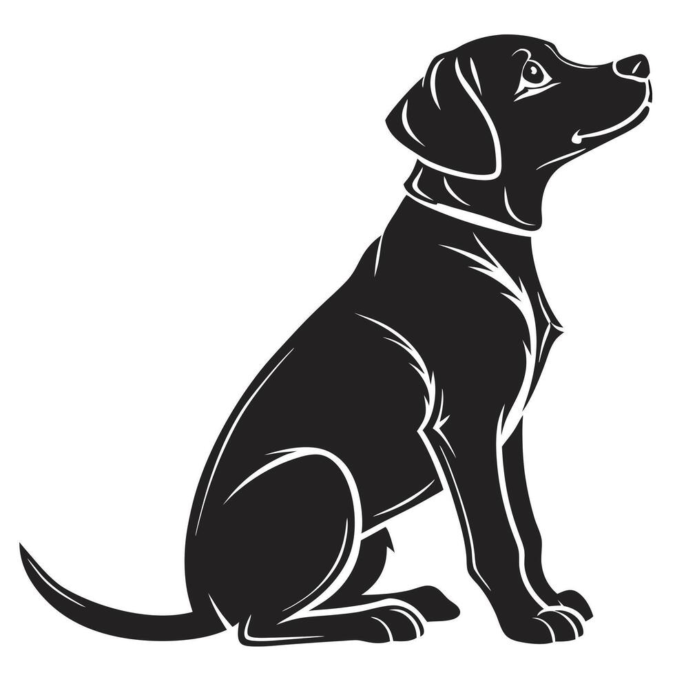 Black Labrador Dog Illustration vector