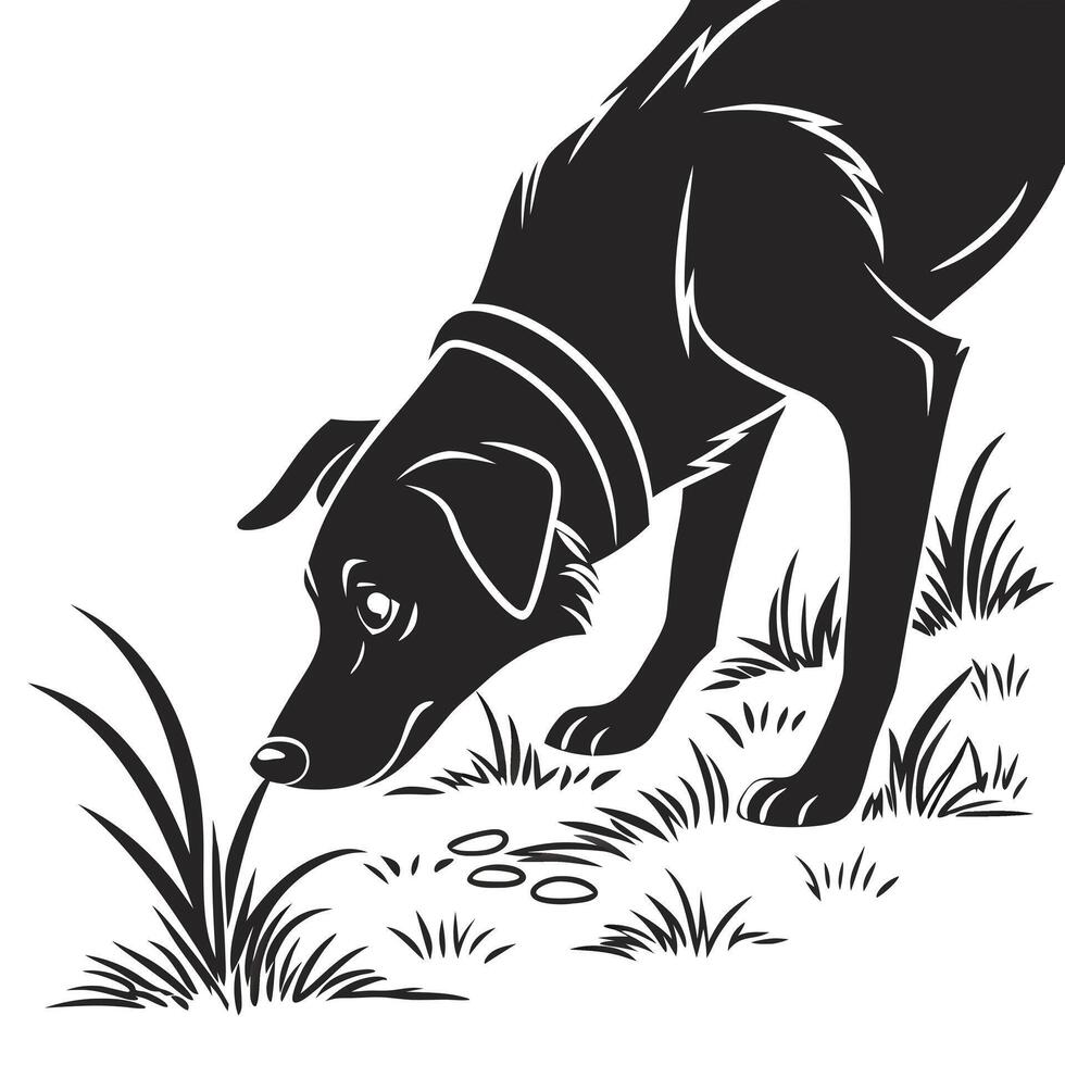 Dog Sniffing In Black And White vector