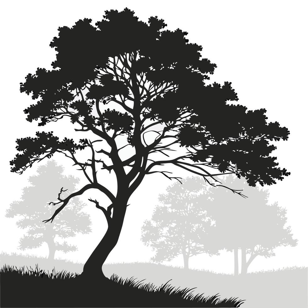 Isolated Tree Silhouette In Hazy Meadow vector