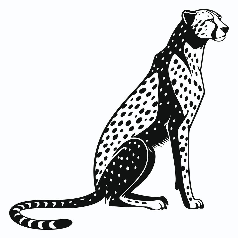 Monochrome Cheetah Illustration Seated Posture vector