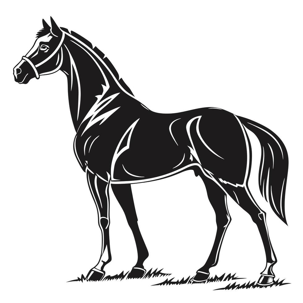 Horse In Black And White vector