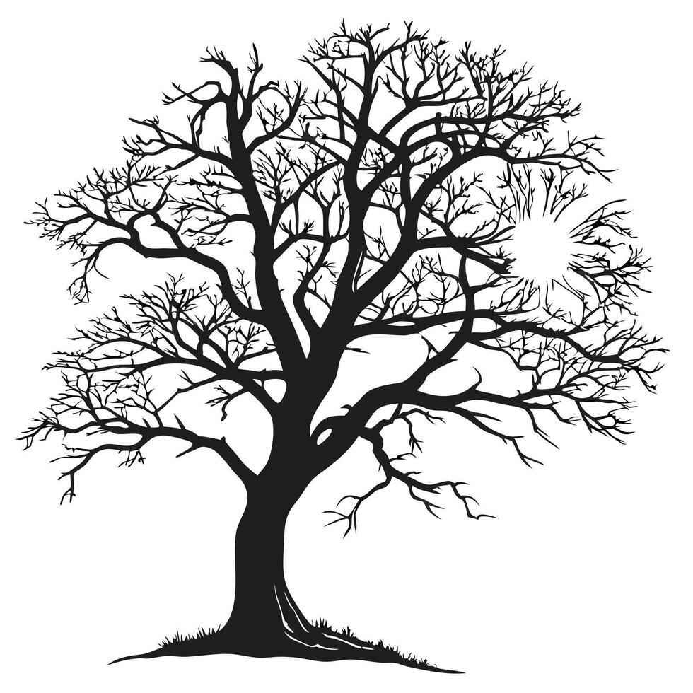A Bare Tree Silhouette Art vector