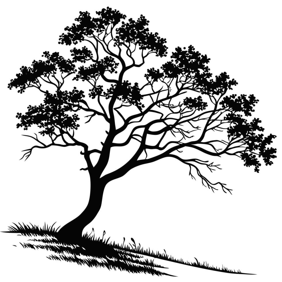 Silhouette Drawing Of A Tree vector