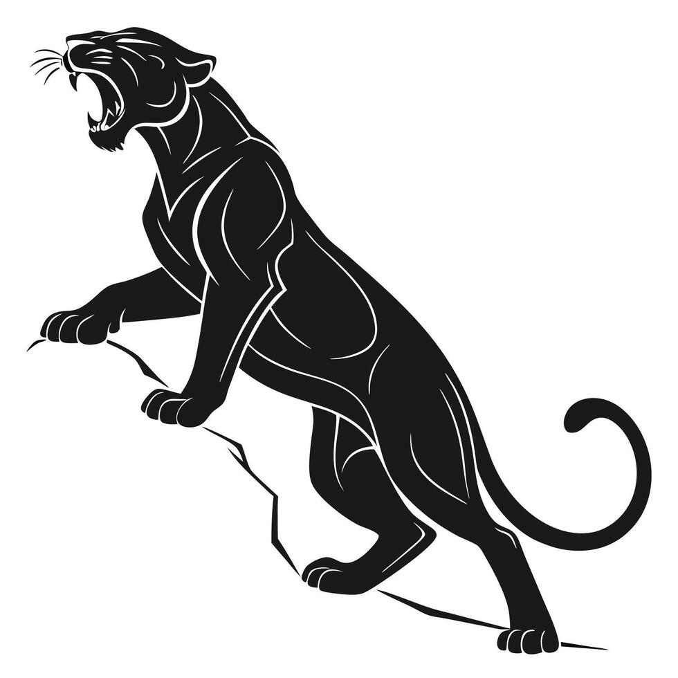 Roaring Black Panther Climbing Rock vector