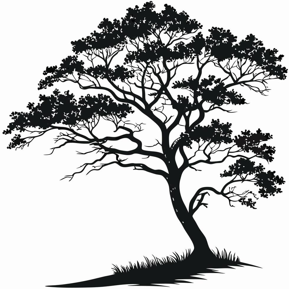 Silhouette Of A Tree On White vector