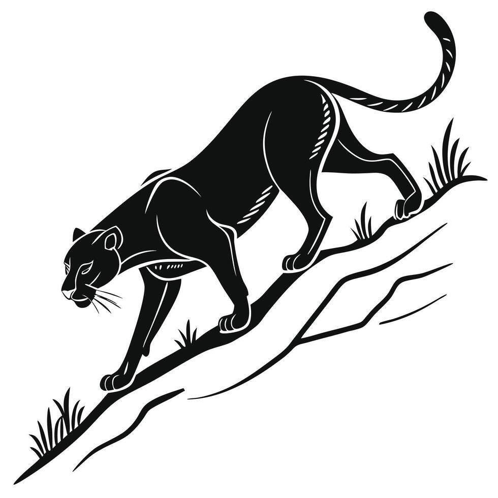 Panther Illustration On Tree Branch vector
