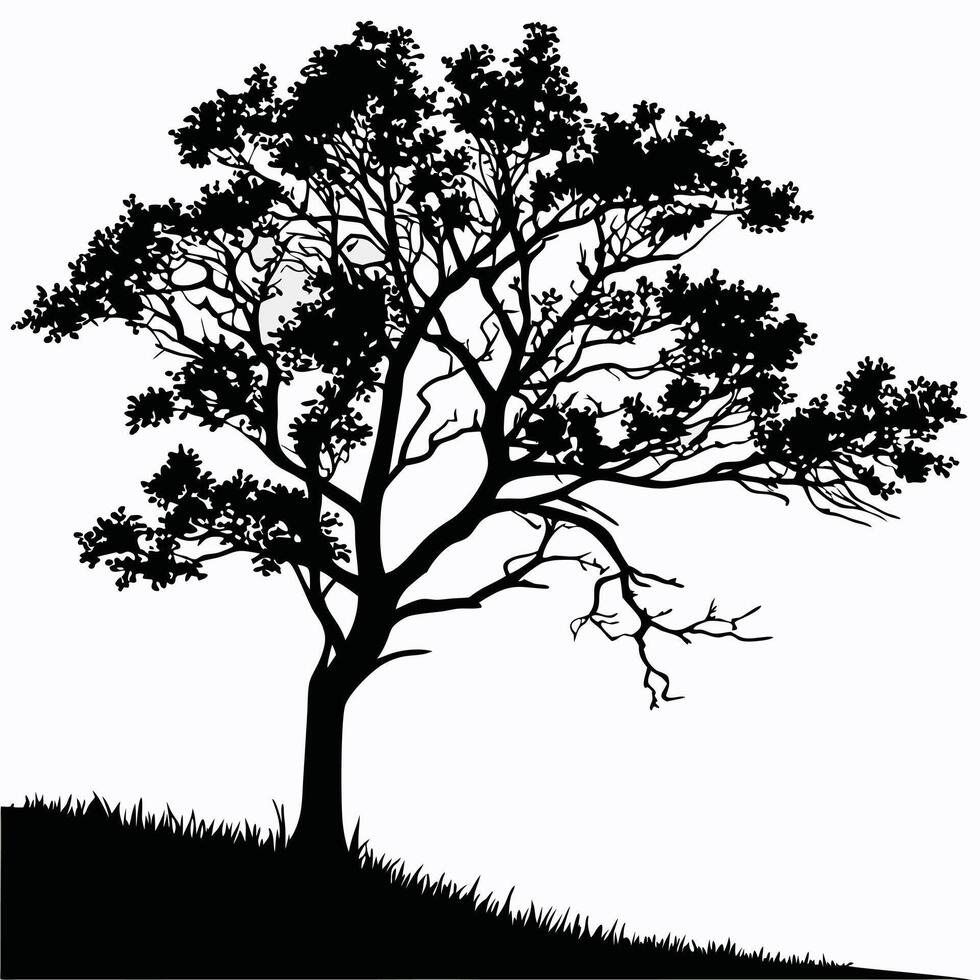 Silhouette Of Solitary Tree With Grass vector