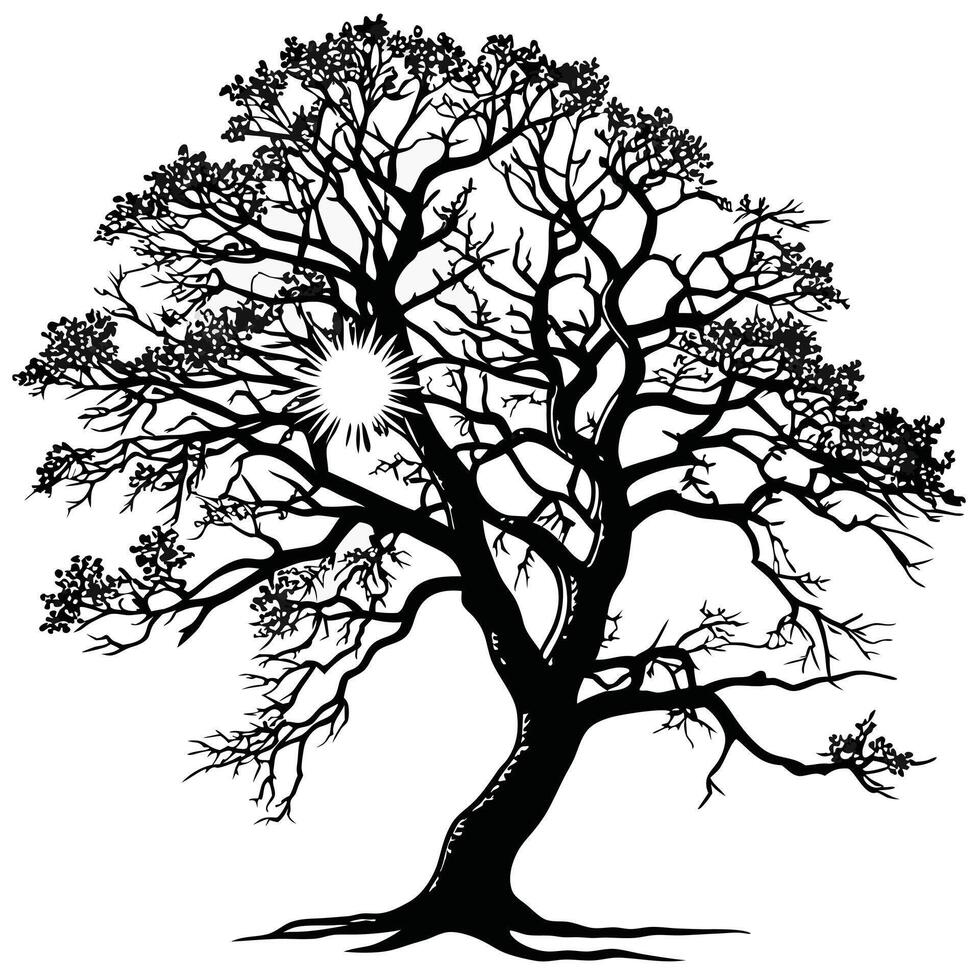 Silhouette Of Tree With Sunburst vector