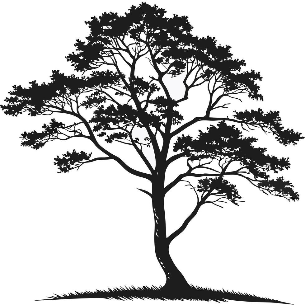 Silhouette Of Tree With Grass vector