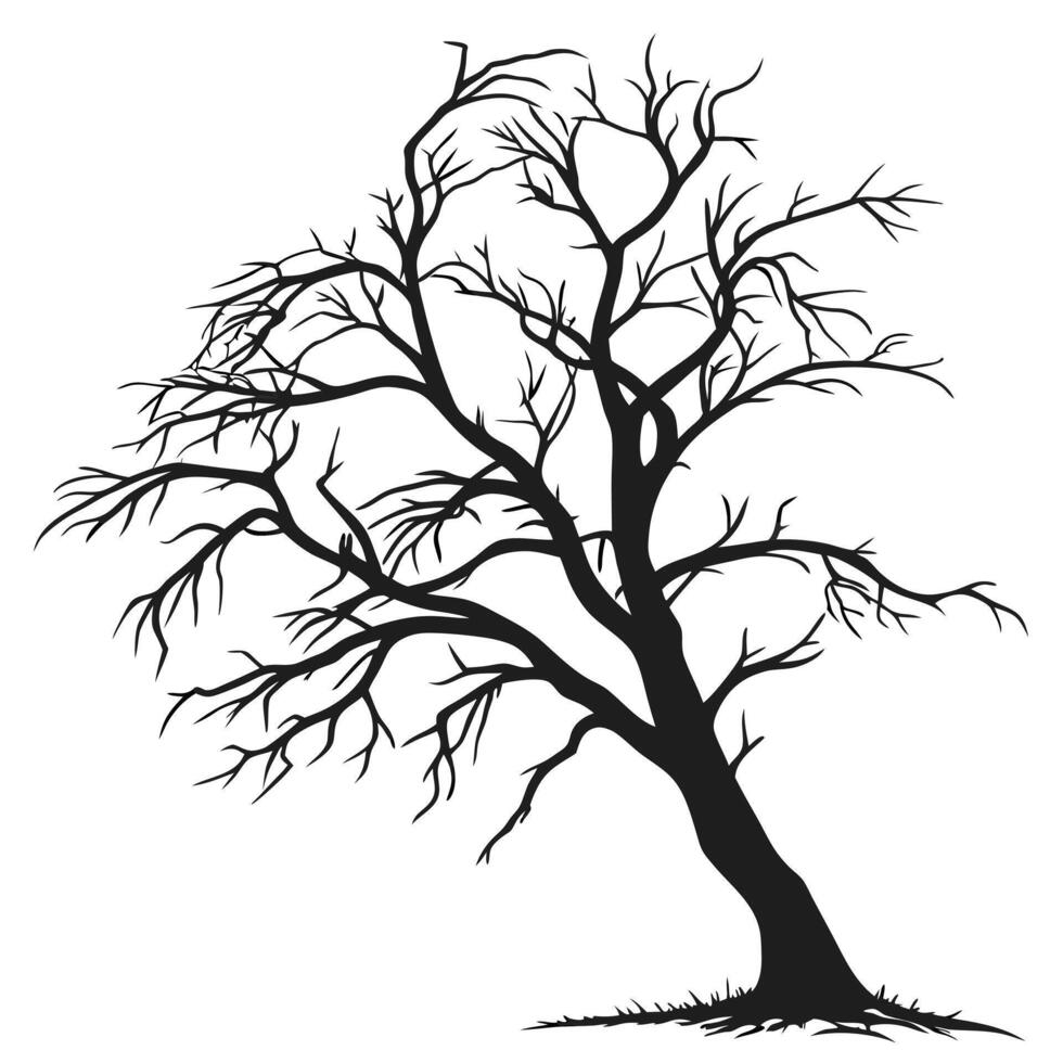 Silhouette Of Bare Tree Against White vector