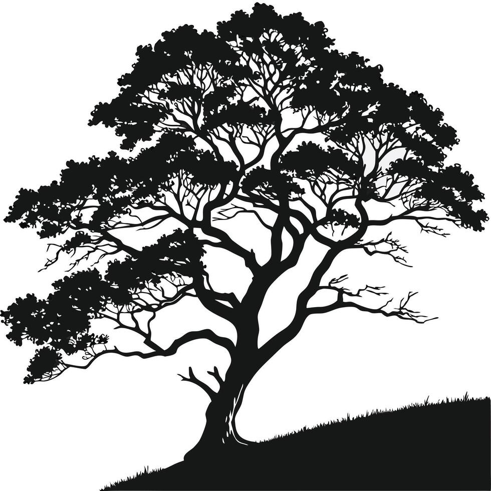 Tree Silhouette On A Grassy Hill vector
