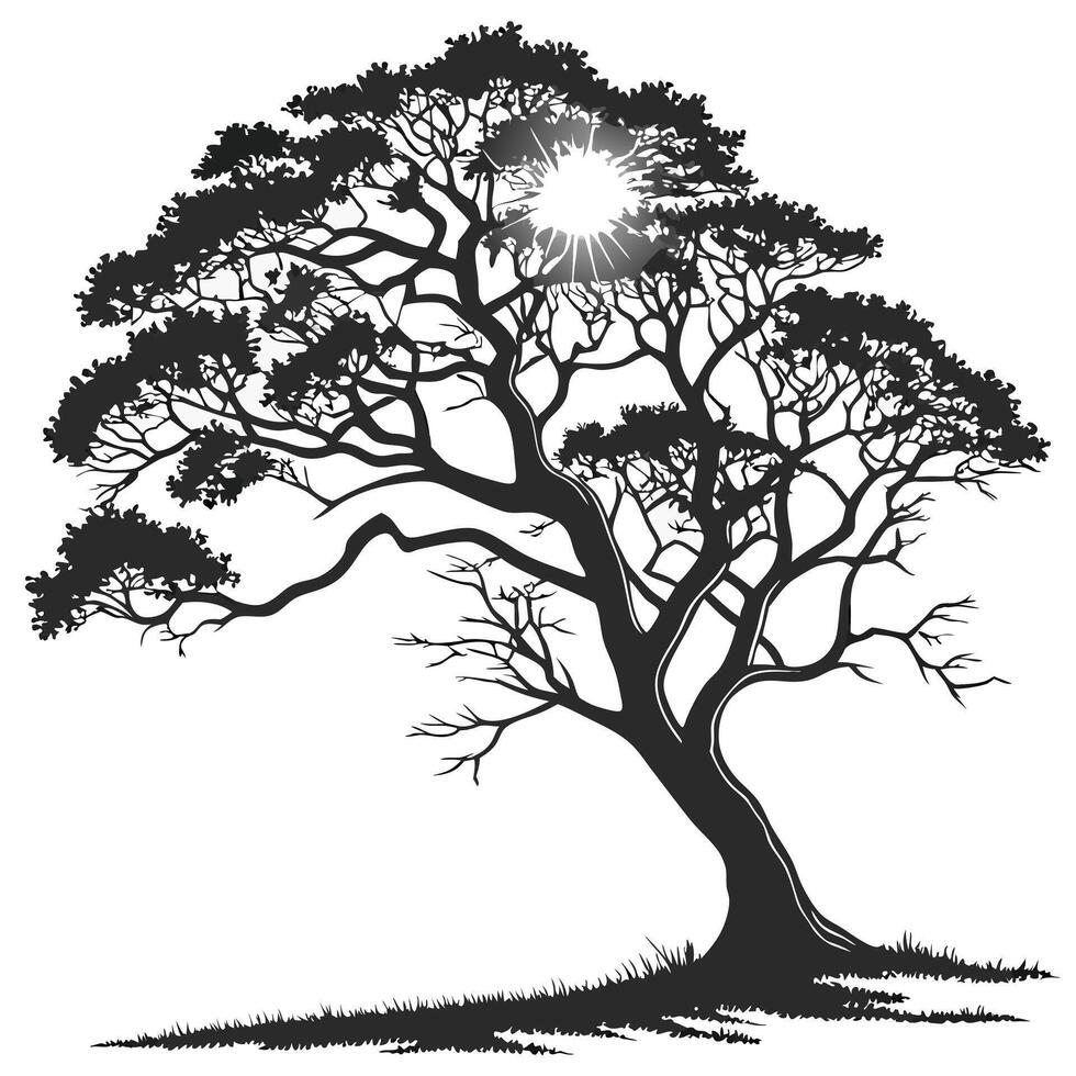 Solitary Tree Silhouette With Sunlight Illustration vector