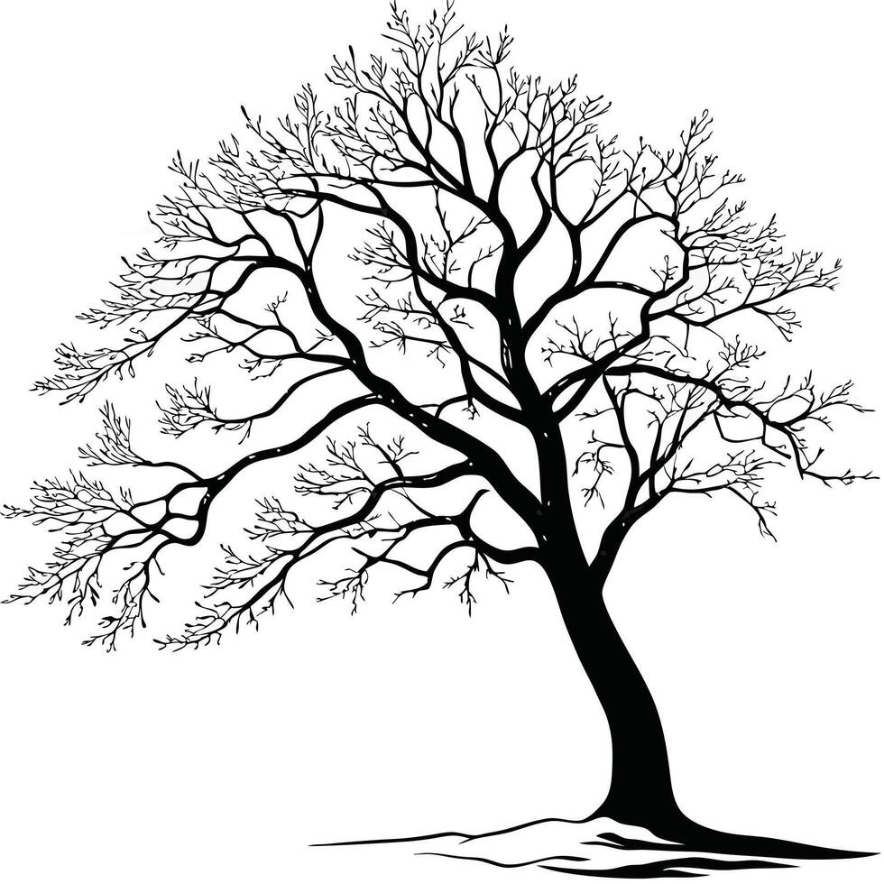 Tree Silhouette With Bare Branches Design vector