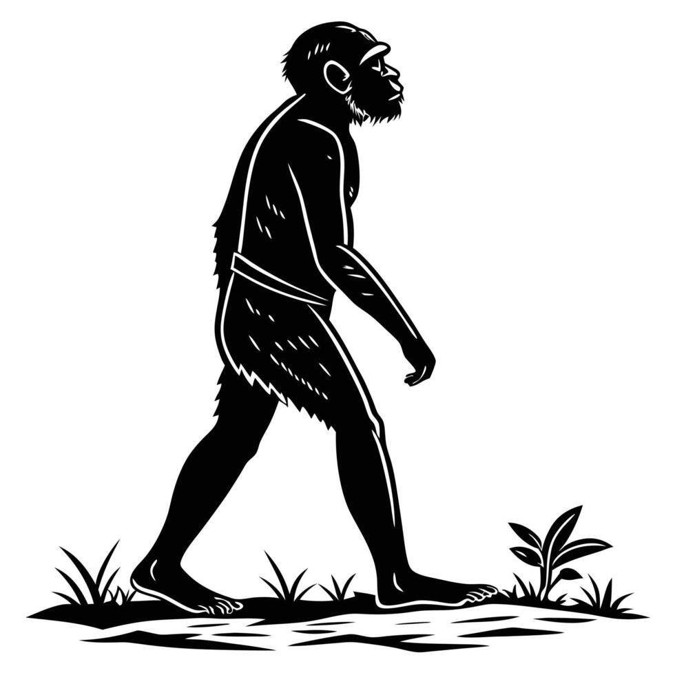 Walking Australopithecus In Black And White vector