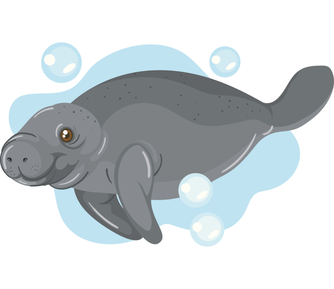 manatee sea animal cartoon png