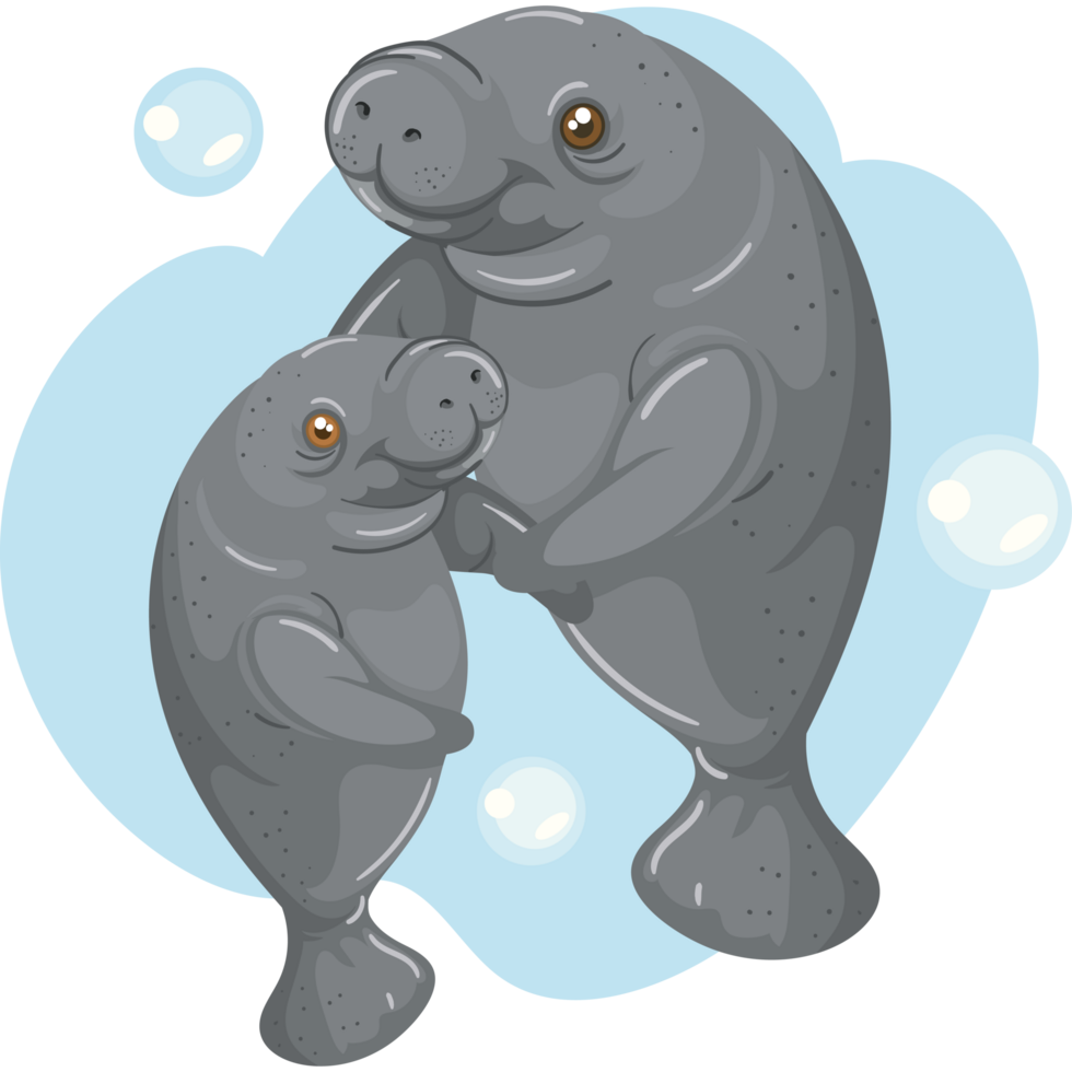 mother and cub of sea cow design png