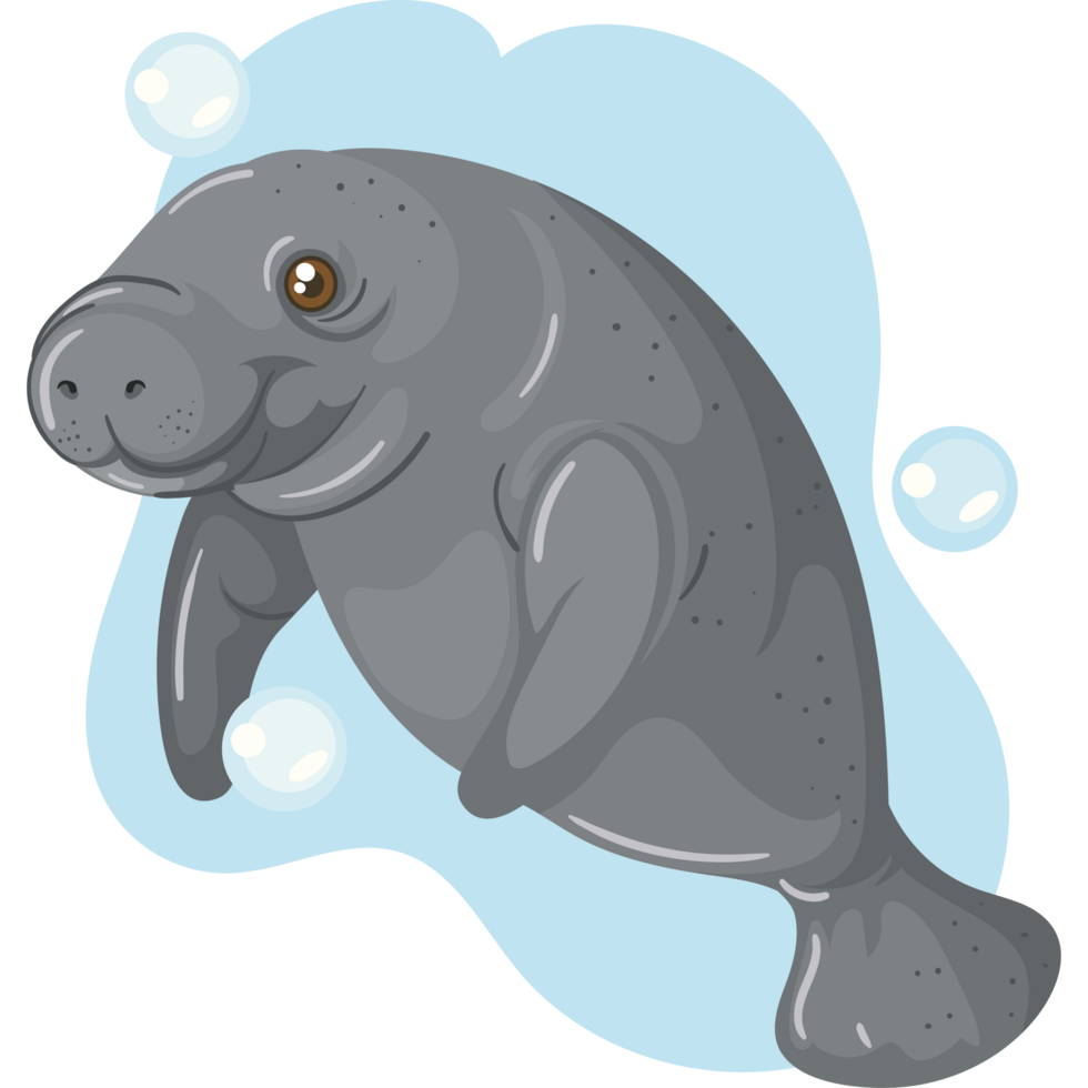 cute cartoon sea cow design png