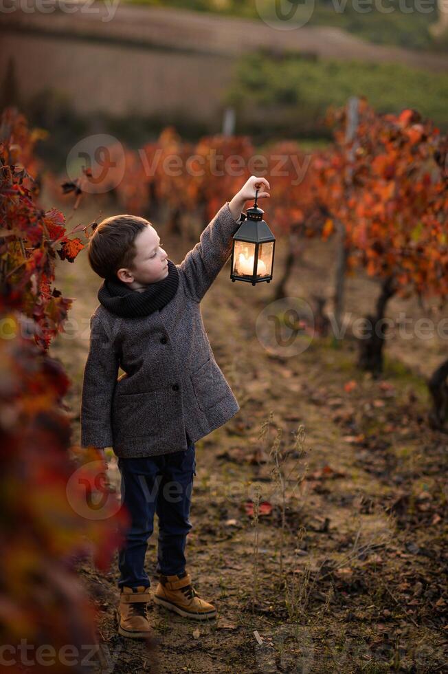 In the midst of the vibrant red vines, a boy in a coat holds a lantern, its light casting a warm glow. photo