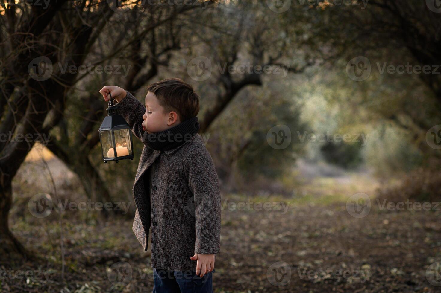 A boy in a coat blows gently on the lantern in his hands at sunset, surrounded by a tunnel of olive trees glowing in the fading light. photo