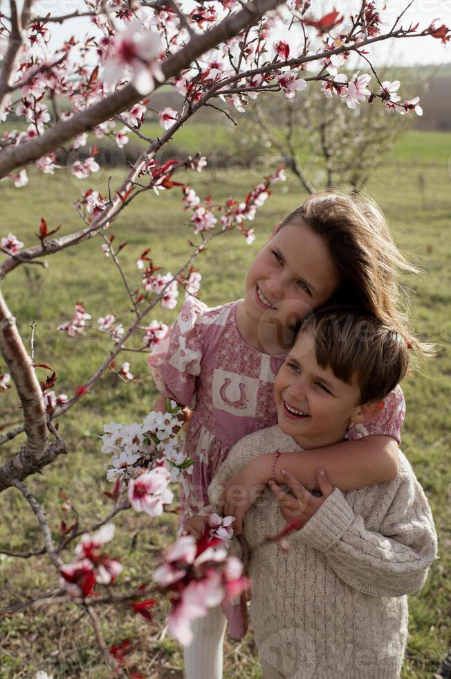 The boy and girl stand together beneath a pink almond tree, laughing and smiling as soft petals fall around them, creating a moment of pure joy photo