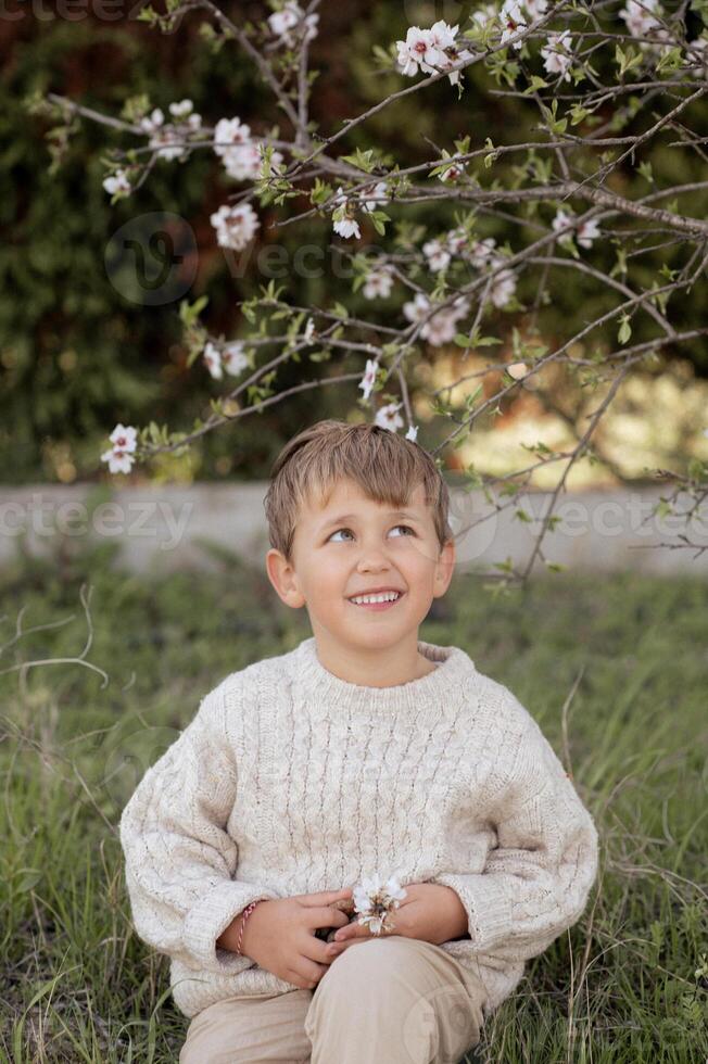 Nestled beneath the delicate almond blossoms, a boy in a white sweater holds freshly picked almonds, his bright smile reflecting pure happiness. photo