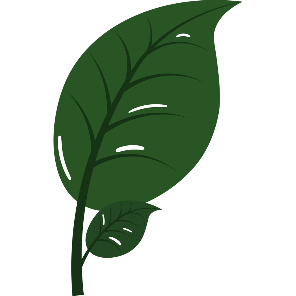 leaves greenery nature element png