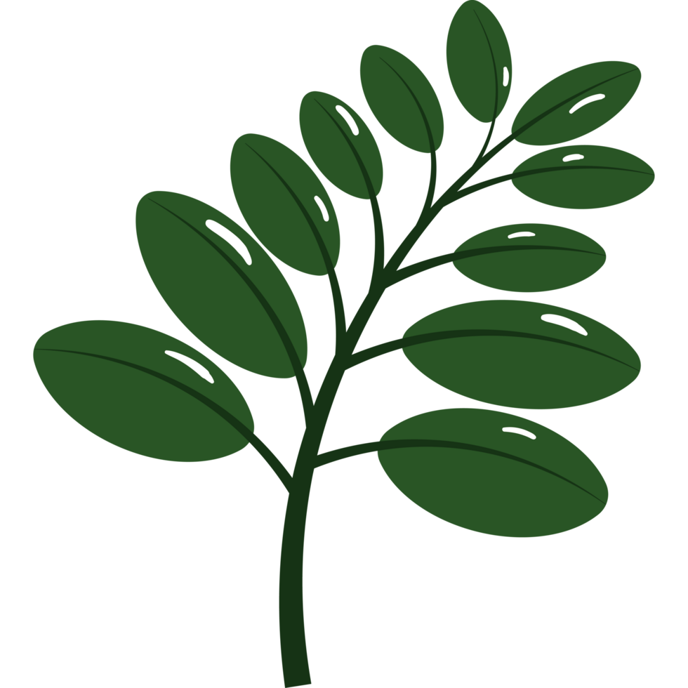 green branch tree nature element png