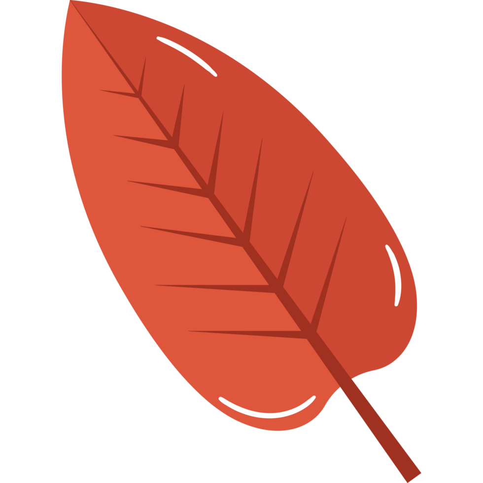 leaf foliage nature element png