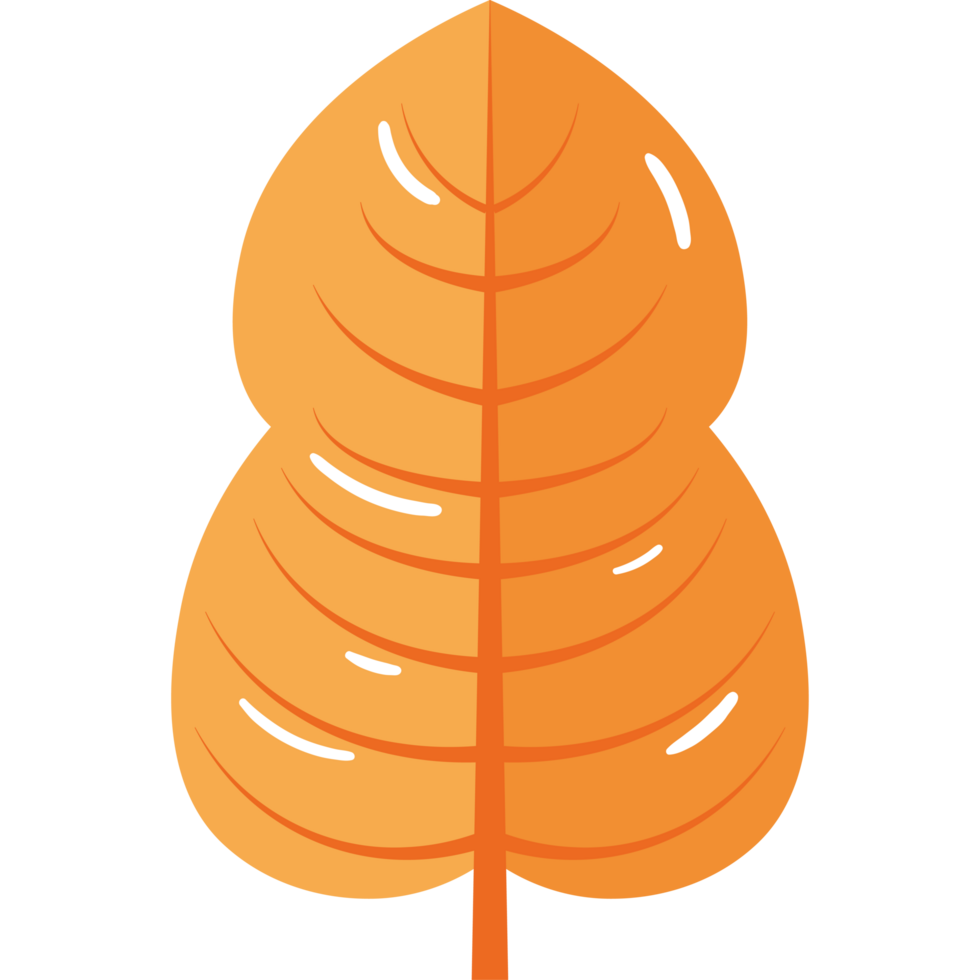 leaf nature element png