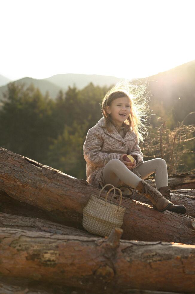 A young girl with blonde hair sits on wooden logs in the countryside, her hair blowing gently in the sunlight photo