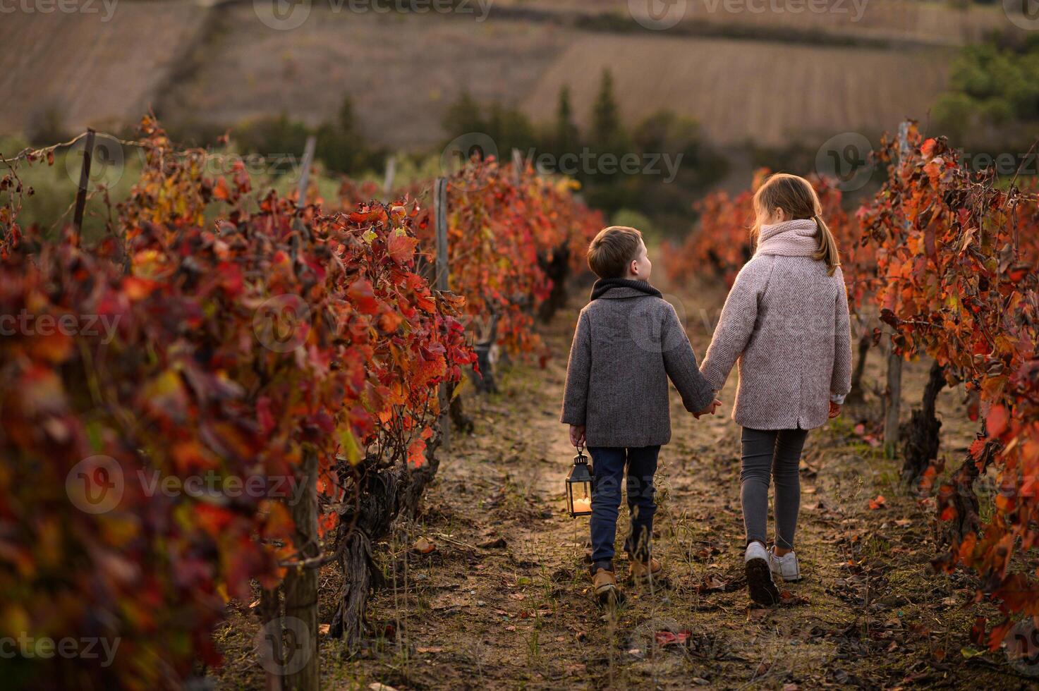 Two children wander between the vineyard rows, their lantern casting a warm glow in the soft evening air. photo