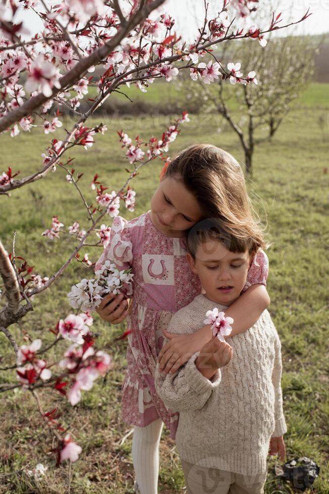 With big smiles on their faces, a boy and girl hold each other under the vibrant pink blossoms of an almond tree, creating a picture of springtime happiness. photo