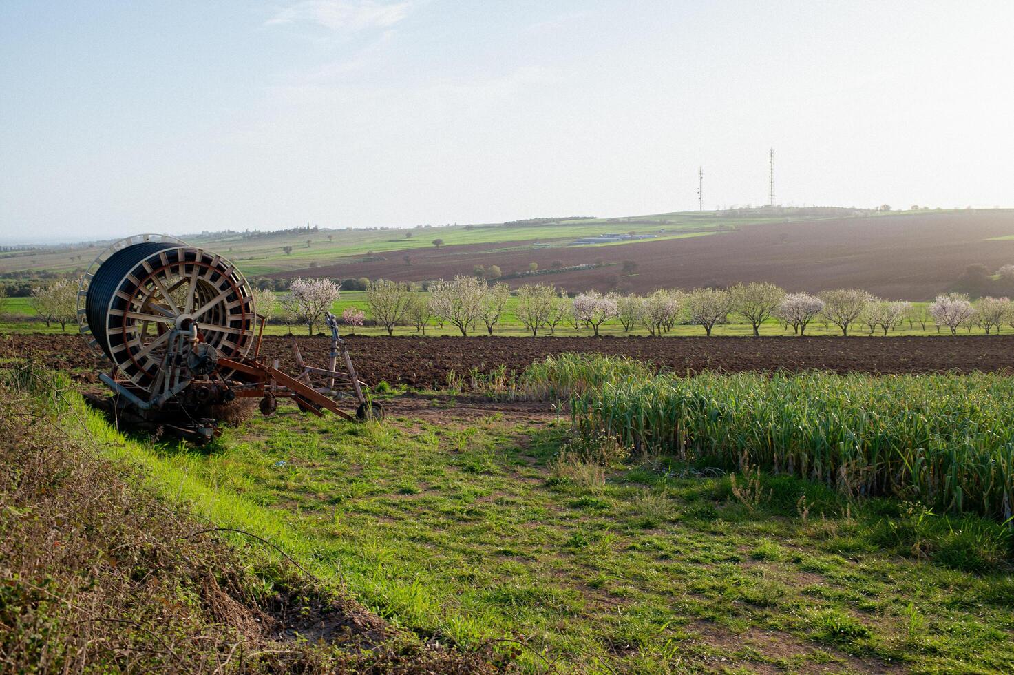 Scenic rural landscape with cultivated fields in Greece. A breathtaking view of vast, well-tended farmland, where rows of crops blend with the distant hills under a clear blue sky. photo
