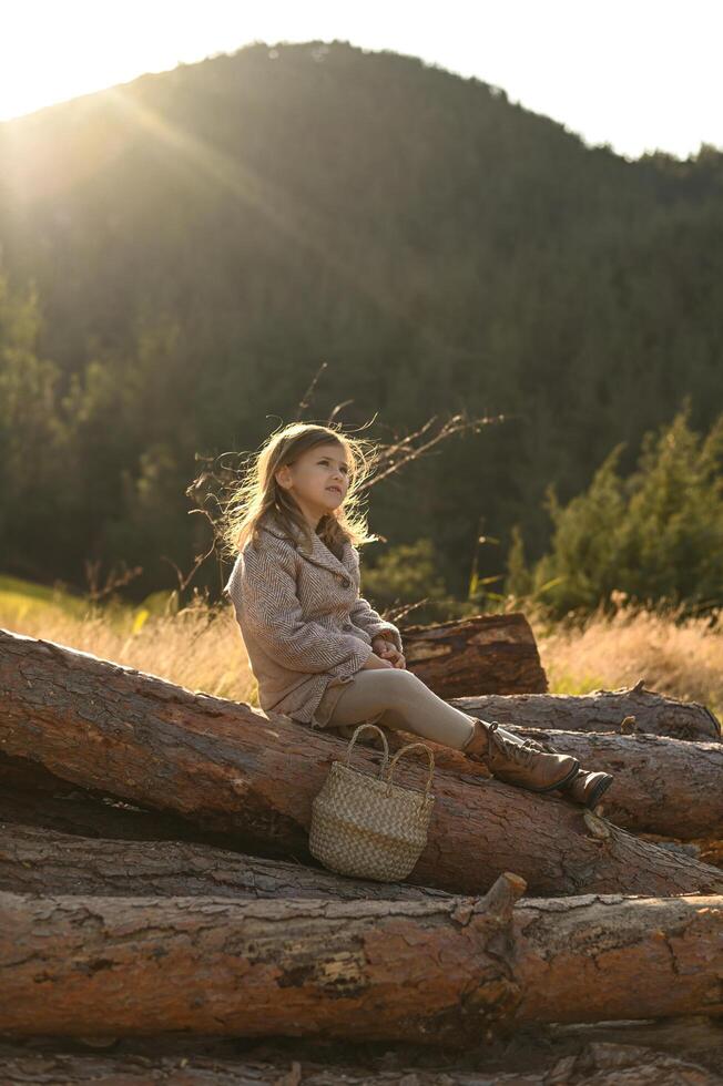 A young girl sits alone in the countryside, her windblown hair glowing in the soft morning sun. photo