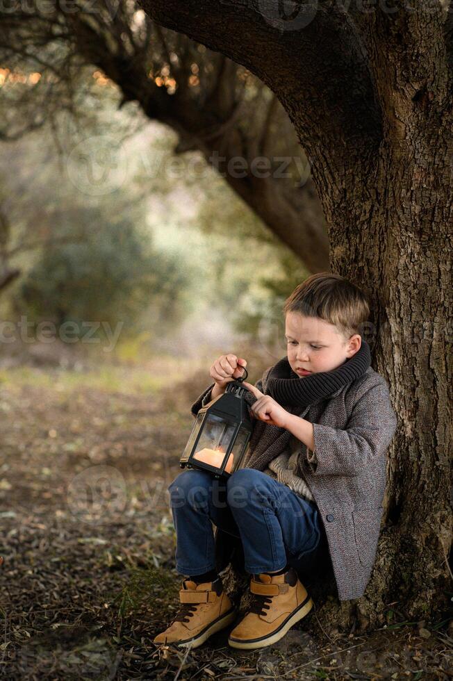 A boy in a coat sits peacefully under a tree, holding a glowing lantern in his hands, the soft light illuminating his face photo