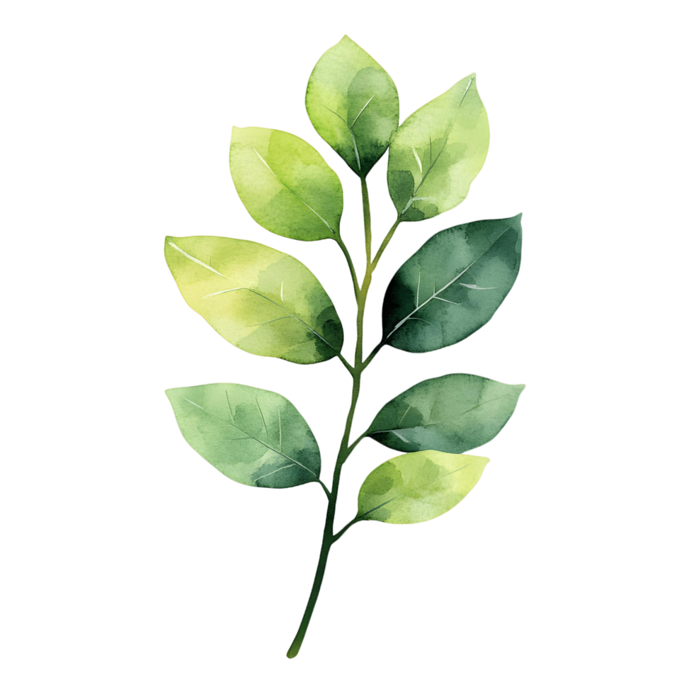 Organic and natural leaf branch depicted in a modern watercolor approach png