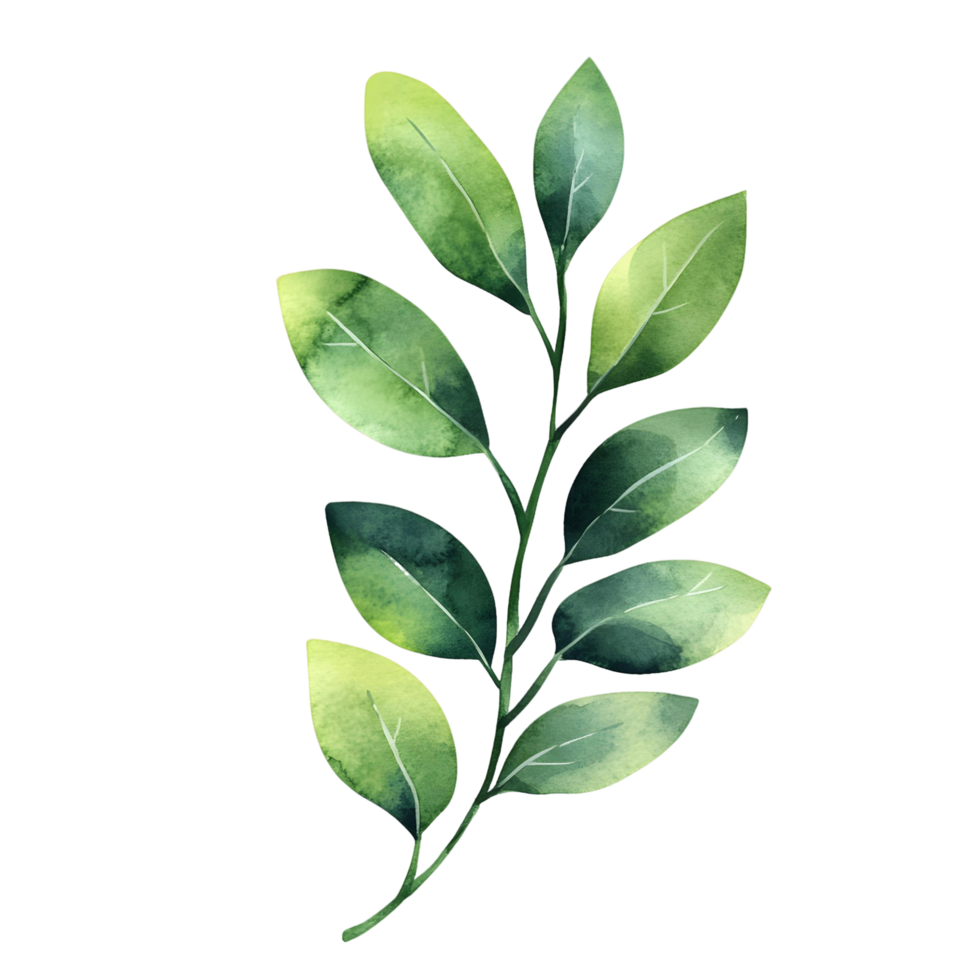 Minimalist botanical watercolor featuring a single delicate green branch png