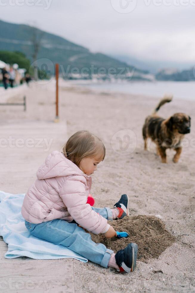 Little girl is digging a hole in the sand with a toy shovel while sitting on a blanket on the seashore. Side view photo