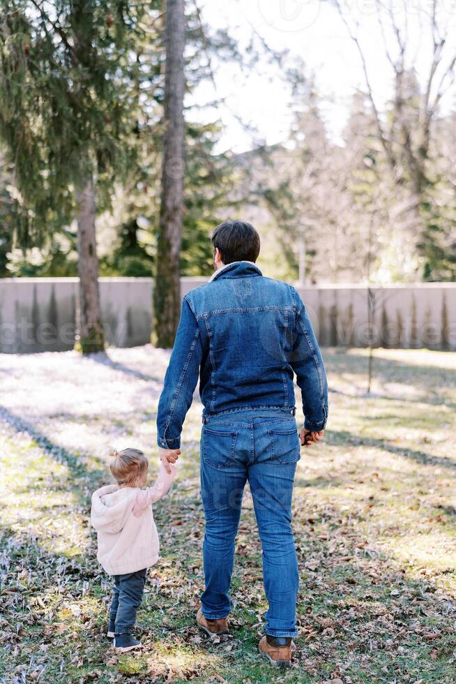 Dad and a little girl are walking along a flowering meadow in a sunny park. Back view photo