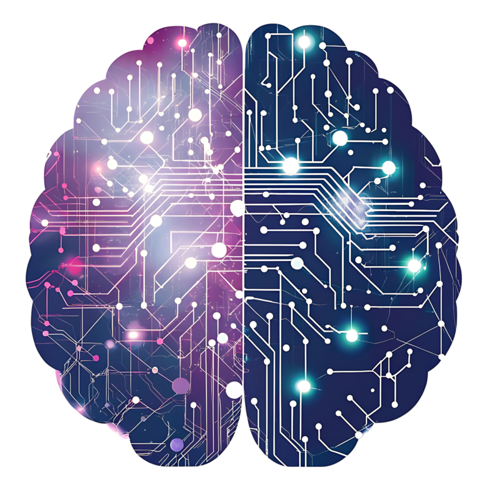 Two brains, one with circuit board and the other with a circuit board png