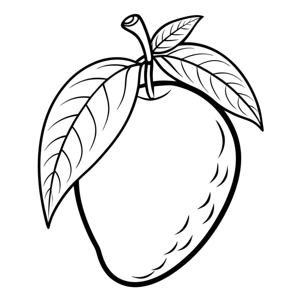 Hand Drawn Mango Illustration Isolated and Vivid vector