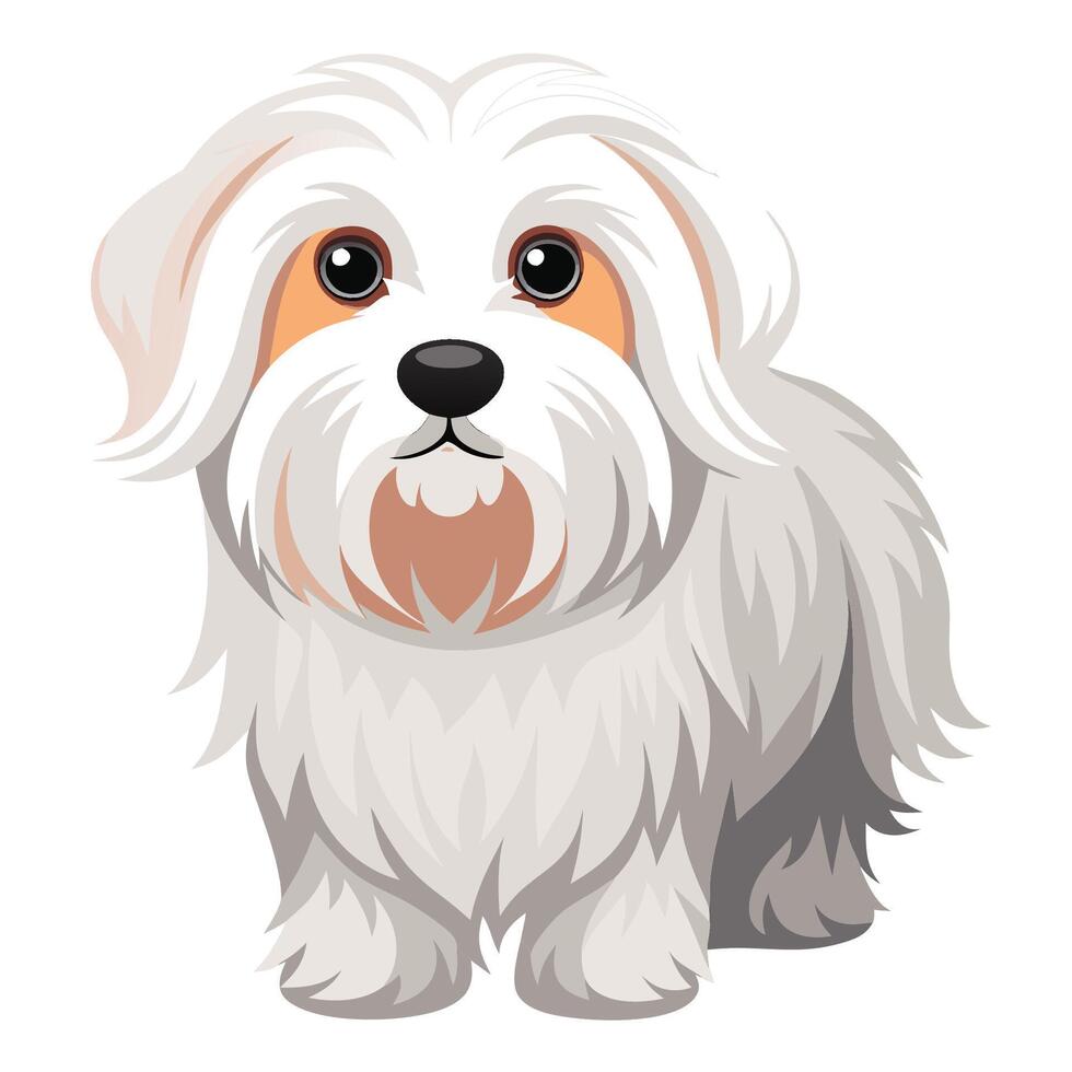 Isolated Maltese Dog Illustration on White Background vector
