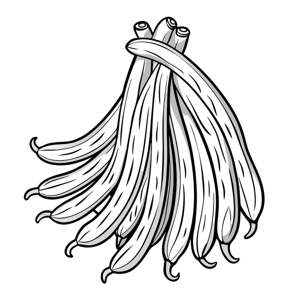 Hand Drawn Illustration of Isolated Long Beans for Culinary and Botanical Use vector
