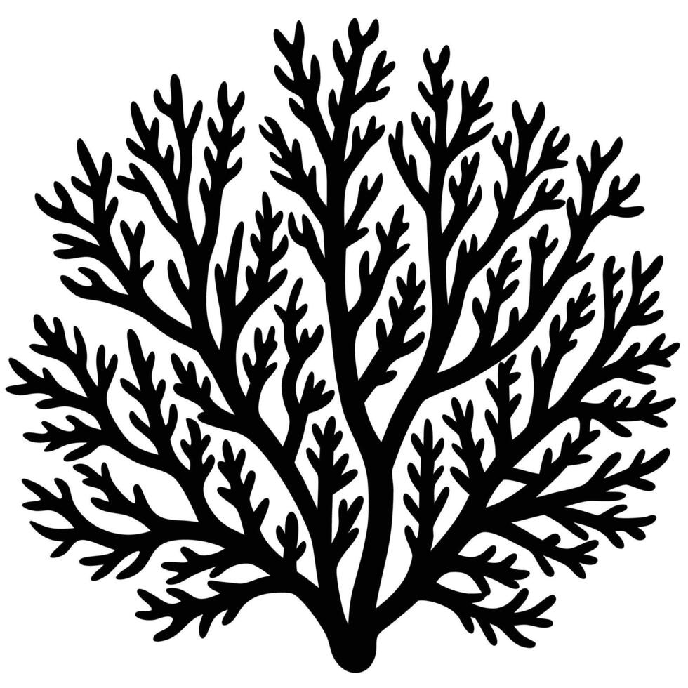 Intricate Silhouettes of Black Coral on a White Background vector