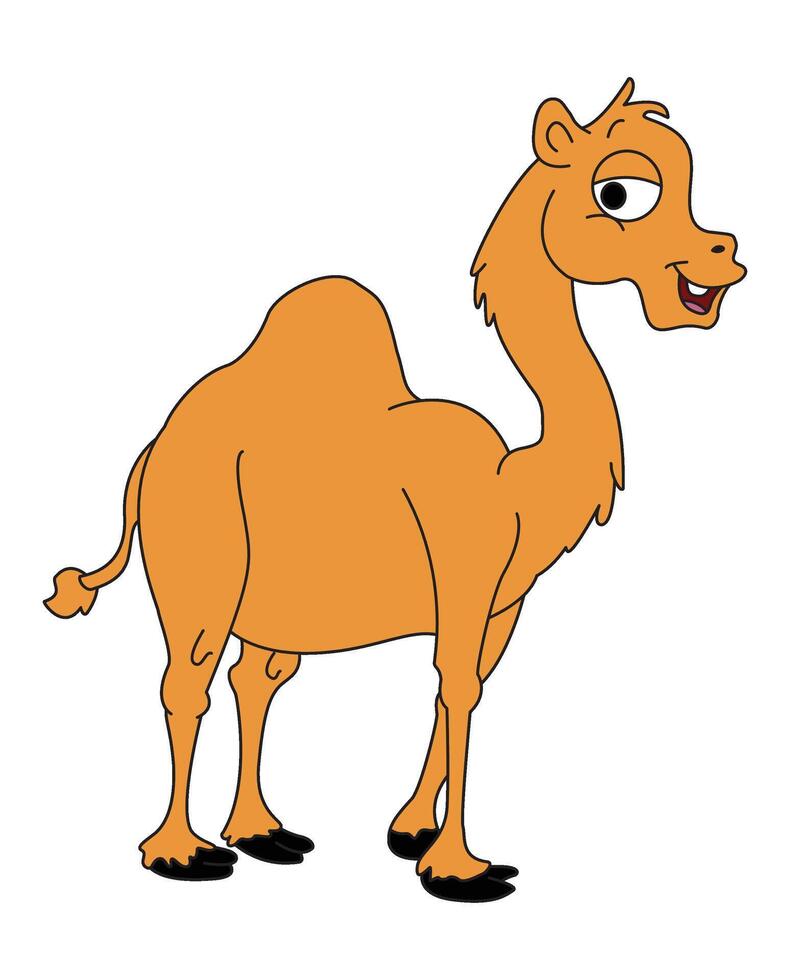 Camel smiling isolated on white background vector