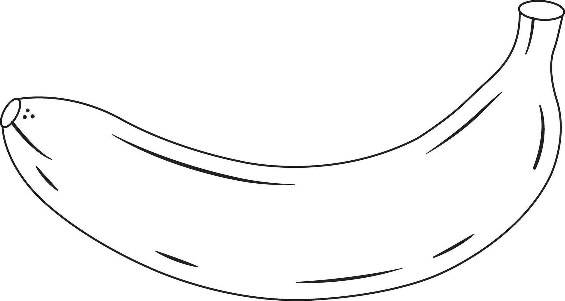 Banana line icon illustration. outline banana icon. vector