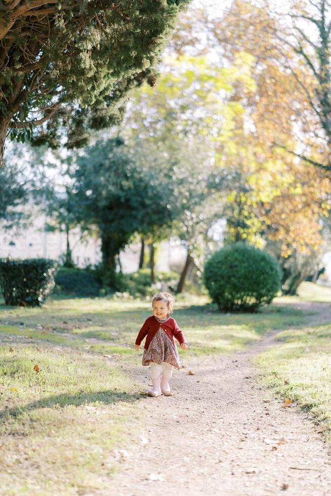 Smiling little girl walks along a dirt path in an autumn park photo
