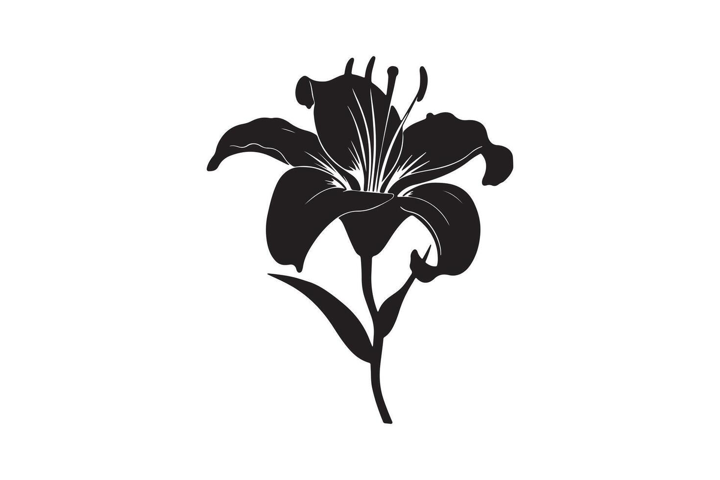 Elegant Lily Flower Silhouette Isolated on White Background vector