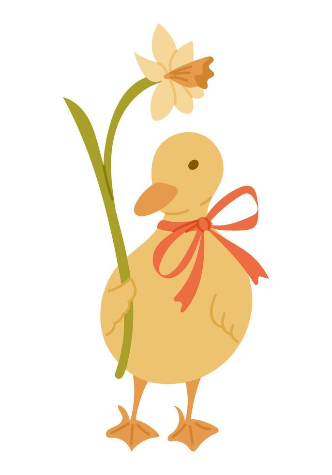 Hand drawn illustration of a cute duckling with a red ribbon holding a daffodil flower. Spring and Easter concept symbolizing new beginnings, innocence and seasonal joy vector