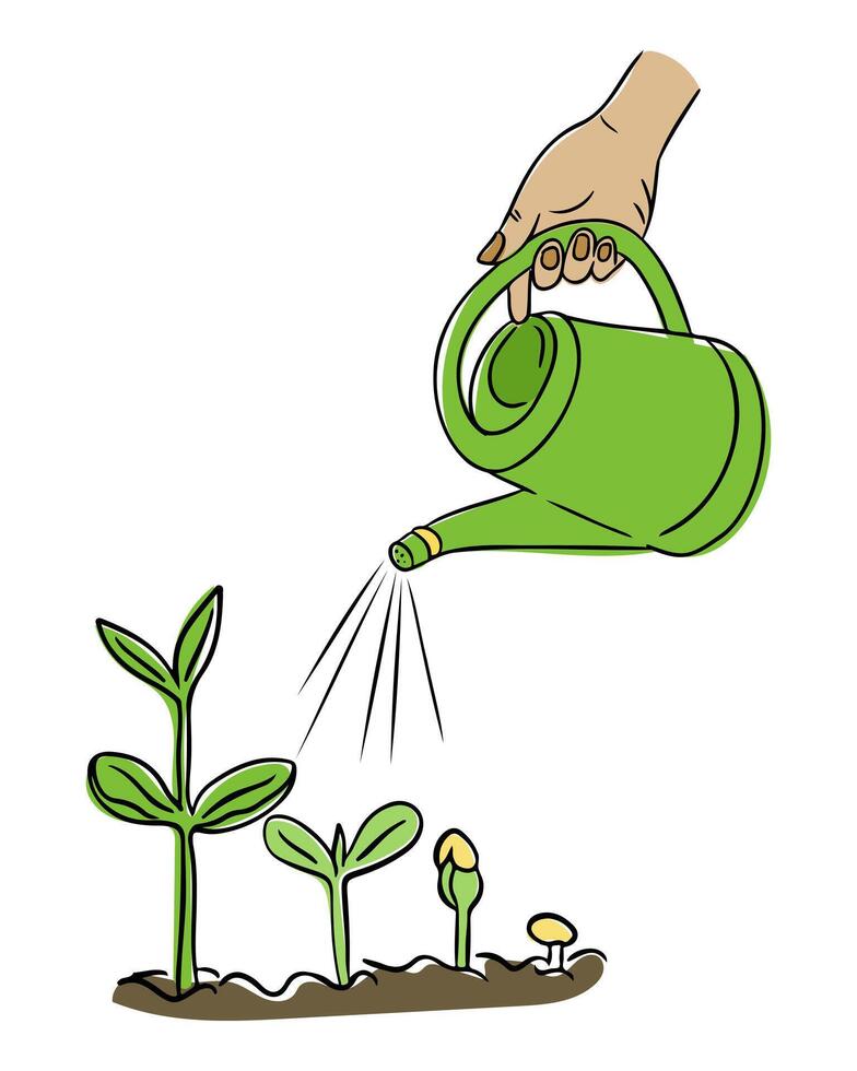 Hand drawn of a hand watering small green seedlings with a watering can on white background. Gardening and growth concept representing care, nurturing and environmental awareness vector